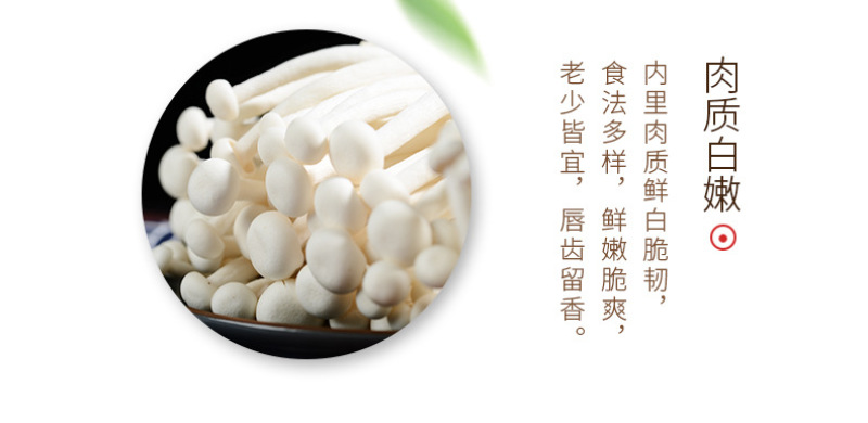 白玉菇新鲜白玉菇蘑菇新鲜菌菇类食材新鲜食用菌真姬菇白玉菇