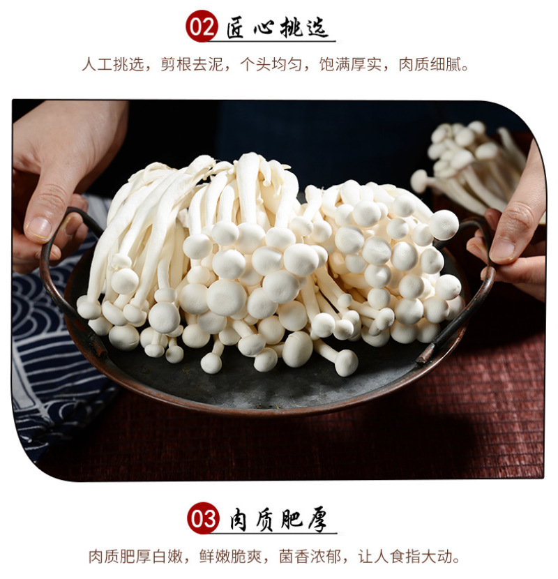 白玉菇新鲜白玉菇蘑菇新鲜菌菇类食材新鲜食用菌真姬菇白玉菇