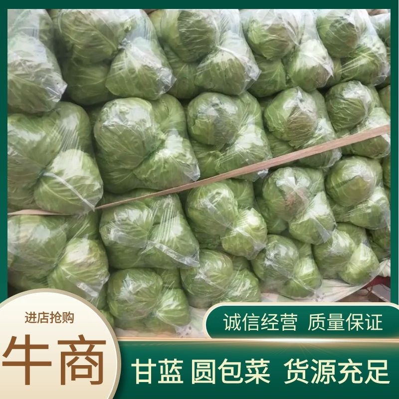 【热卖】精品甘蓝，品类齐全，价格合理，产地一手货