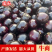 茄子紫光圆茄，山东圆茄产地出售中，欢迎客商选购