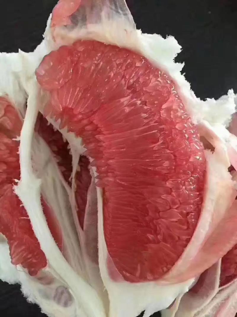 湖北蜜柚红心柚皮薄肉厚对接全国电商批发商欢迎来电合作