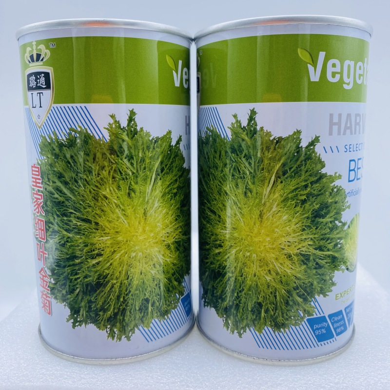 苦苣种子苦菊种子细叶皇金菊种子四季蔬菜种子大田用种