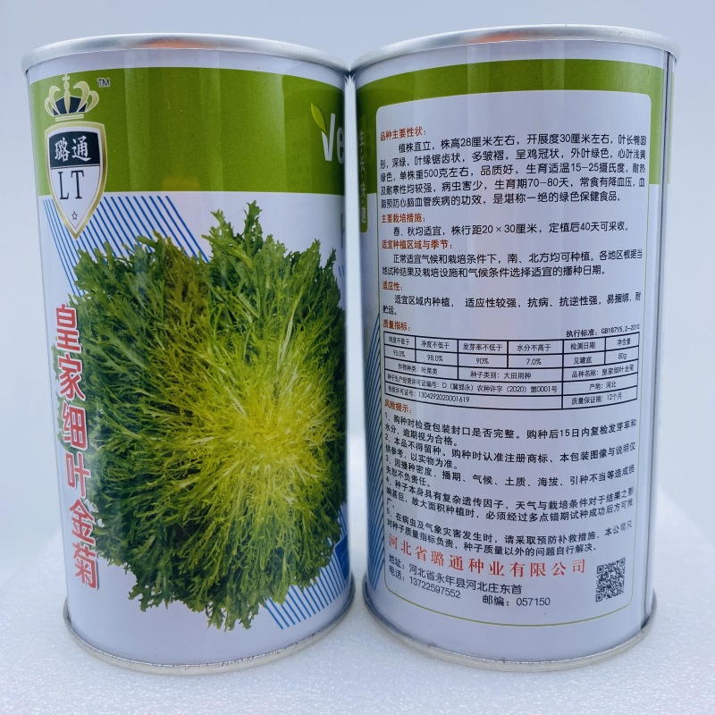 苦苣种子苦菊种子细叶皇金菊种子四季蔬菜种子大田用种