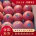 【精品】西红柿大量上市可视频实地看货质量保证长期合作