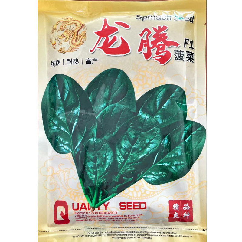 菠菜种子大量供应价格优惠春秋种植墨绿菠菜籽耐热性好植株