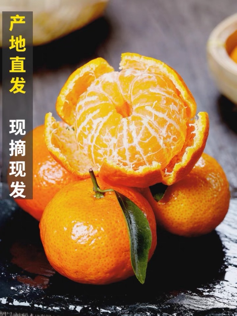【精选好货】广西沙糖桔批发，一手货源，果园现采现摘