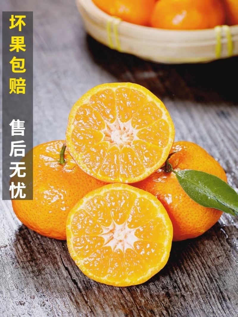 【精选好货】广西沙糖桔批发，一手货源，果园现采现摘