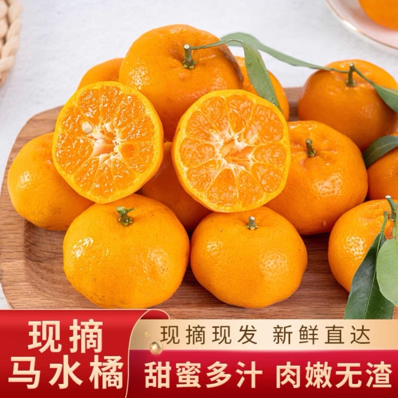 【精选好货】广西沙糖桔批发，一手货源，果园现采现摘
