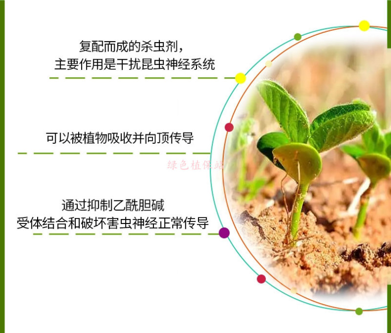联苯菊酯啶虫脒呋虫胺抗性白粉虱飞虱套餐跳甲蓟马绿叶蝉杀虫