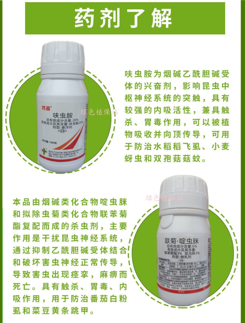 联苯菊酯啶虫脒呋虫胺抗性白粉虱飞虱套餐跳甲蓟马绿叶蝉杀虫