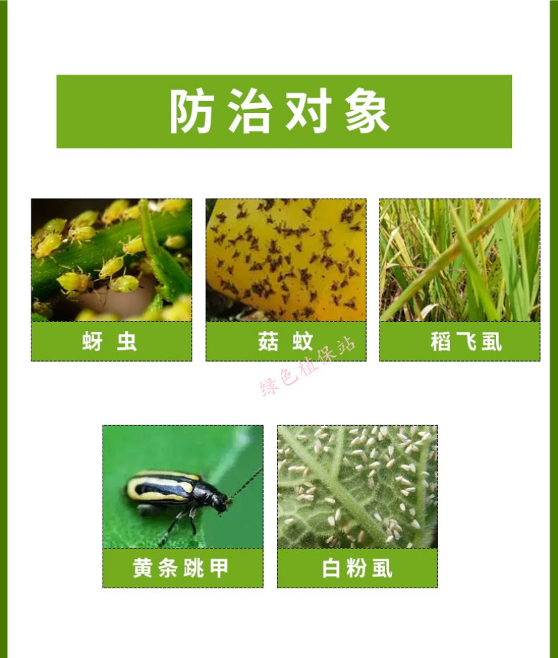 联苯菊酯啶虫脒呋虫胺抗性白粉虱飞虱套餐跳甲蓟马绿叶蝉杀虫