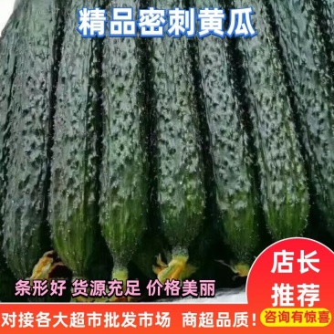 刺黄瓜,油亮,短把,中,小条瓜都有,常年代收代发