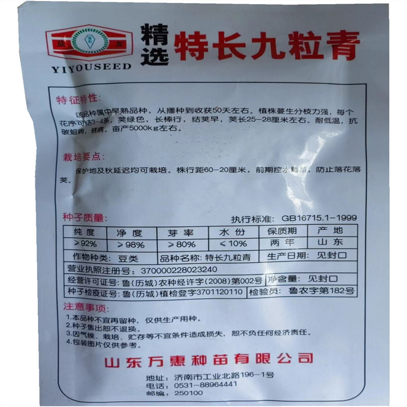 特长九粒青芸豆种子早熟高产荚长四季高端菜豆不老芸豆种籽春