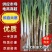 【大葱】河北长白大葱净葱30-40cm以上供应市场电商