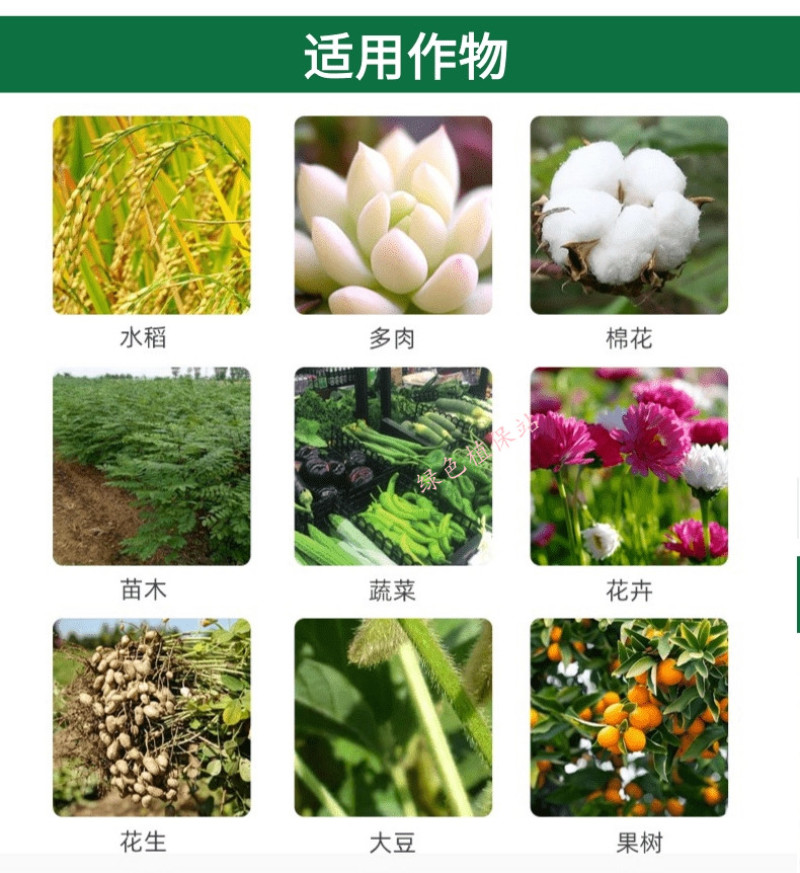 20%呋虫胺杀虫剂稻飞虱白粉虱蚜虫跳甲潜夜蛾梨木虱绿叶蝉
