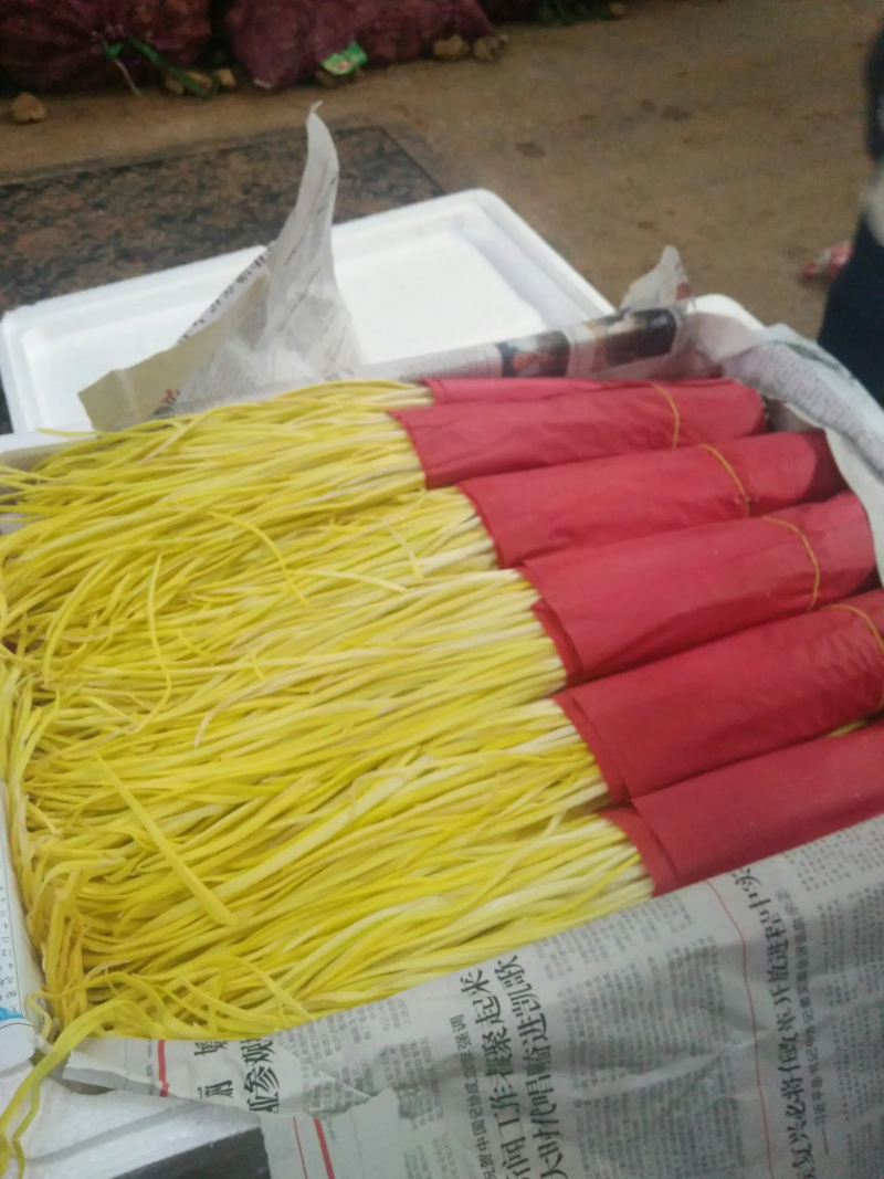 严选蒜黄蒜黄一手货源视频看货品质保证以质论价