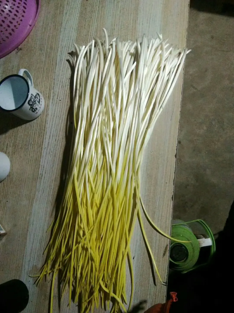 严选蒜黄蒜黄一手货源视频看货品质保证以质论价