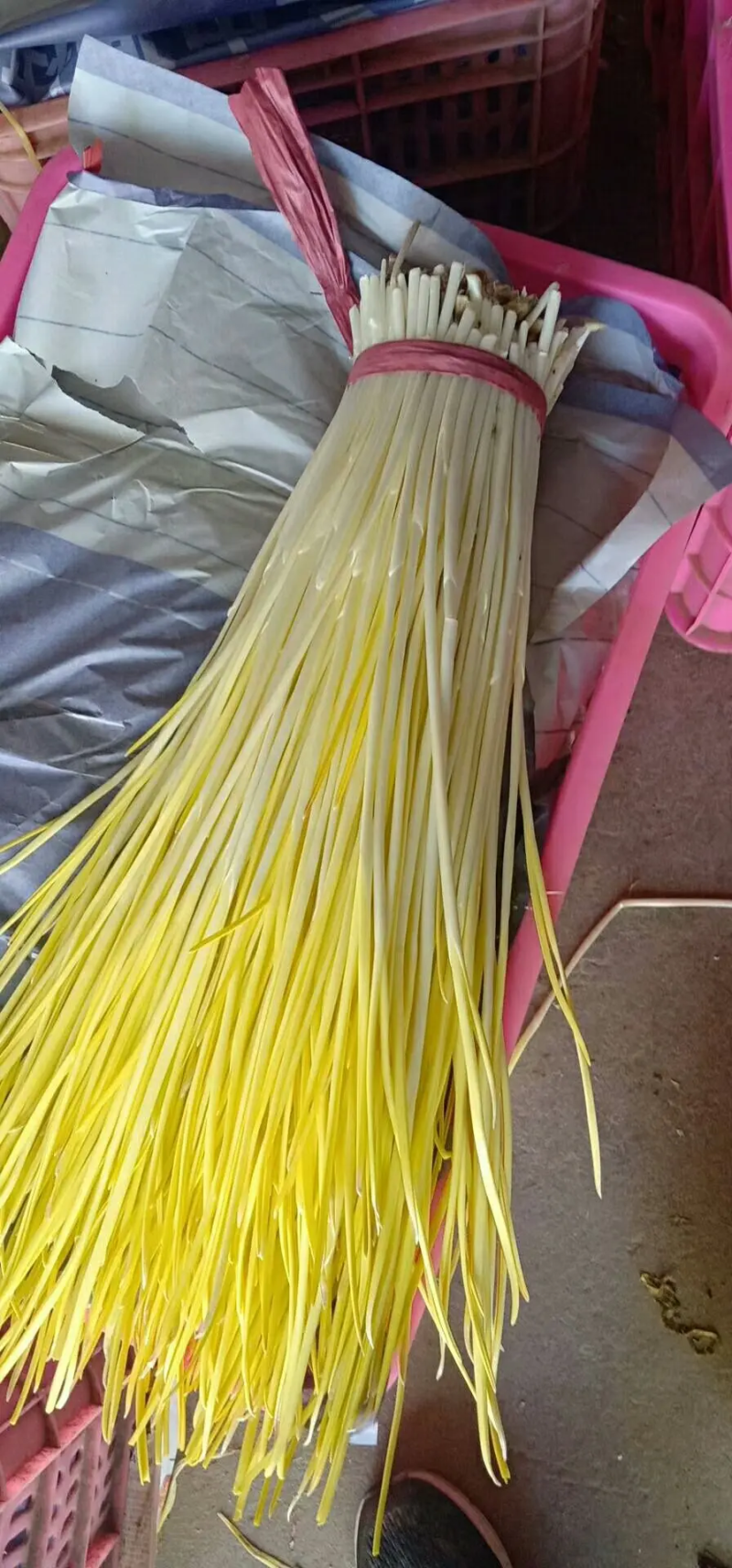 严选蒜黄蒜黄一手货源视频看货品质保证以质论价