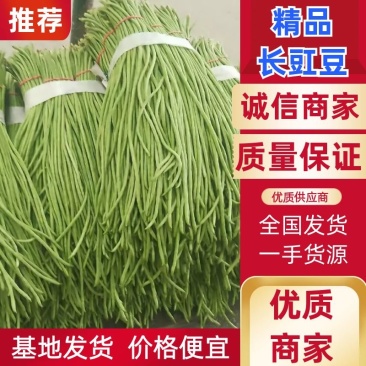 精品长豇豆，长豆角，产地一手货源，质量保证，欢迎进店联系