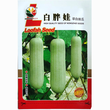 白胖娃白丝瓜种子杂交耐热棒油亮肉丝瓜早熟四季高产