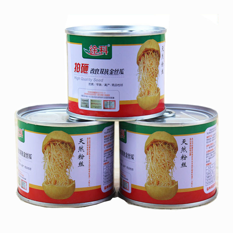 金丝瓜种子搅瓜粉丝瓜早熟抗病强耐热春秋陆地种植