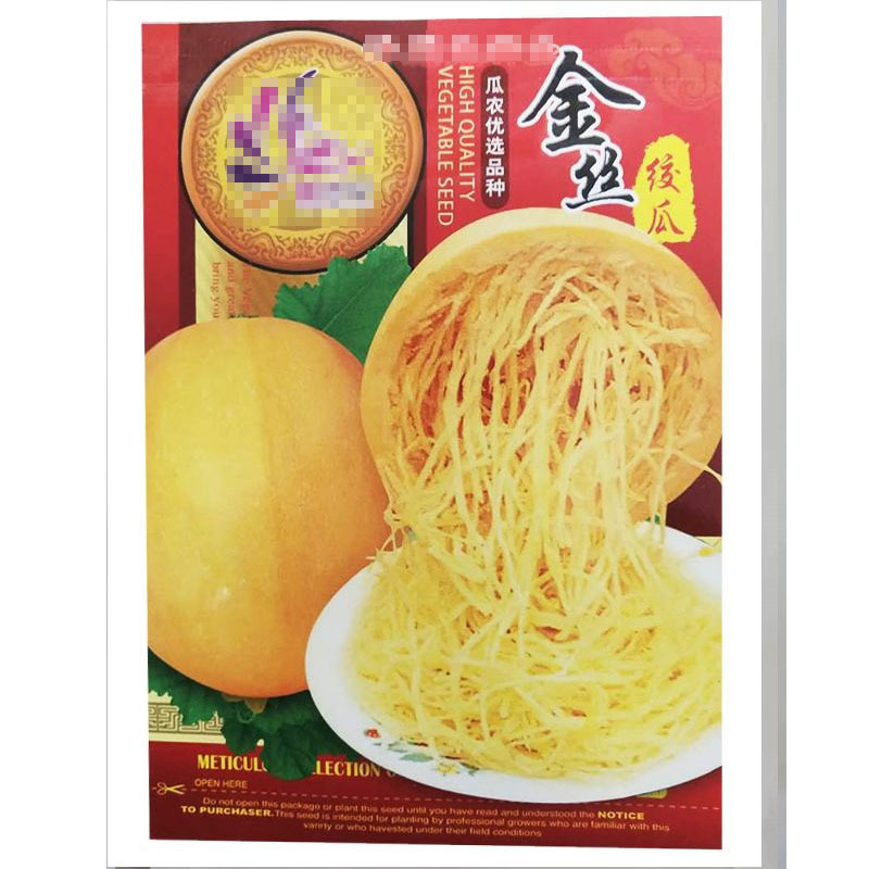 金丝瓜种子搅瓜粉丝瓜早熟抗病强耐热春秋陆地种植