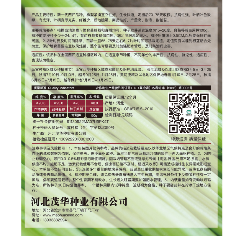 中科茂华蔬菜种子多丽西芹不空心黄绿色西芹种子亮度高