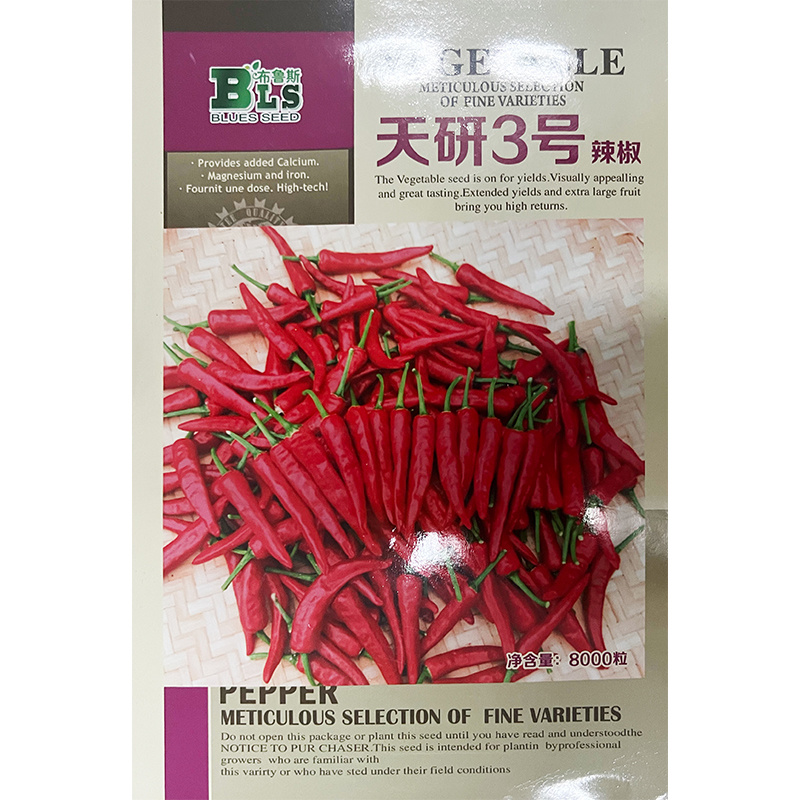 朝天椒辣椒种子天研三号红辣椒簇生高产抗病性强辣椒苗