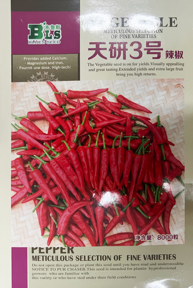 朝天椒辣椒种子天研三号红辣椒簇生高产抗病性强辣椒苗