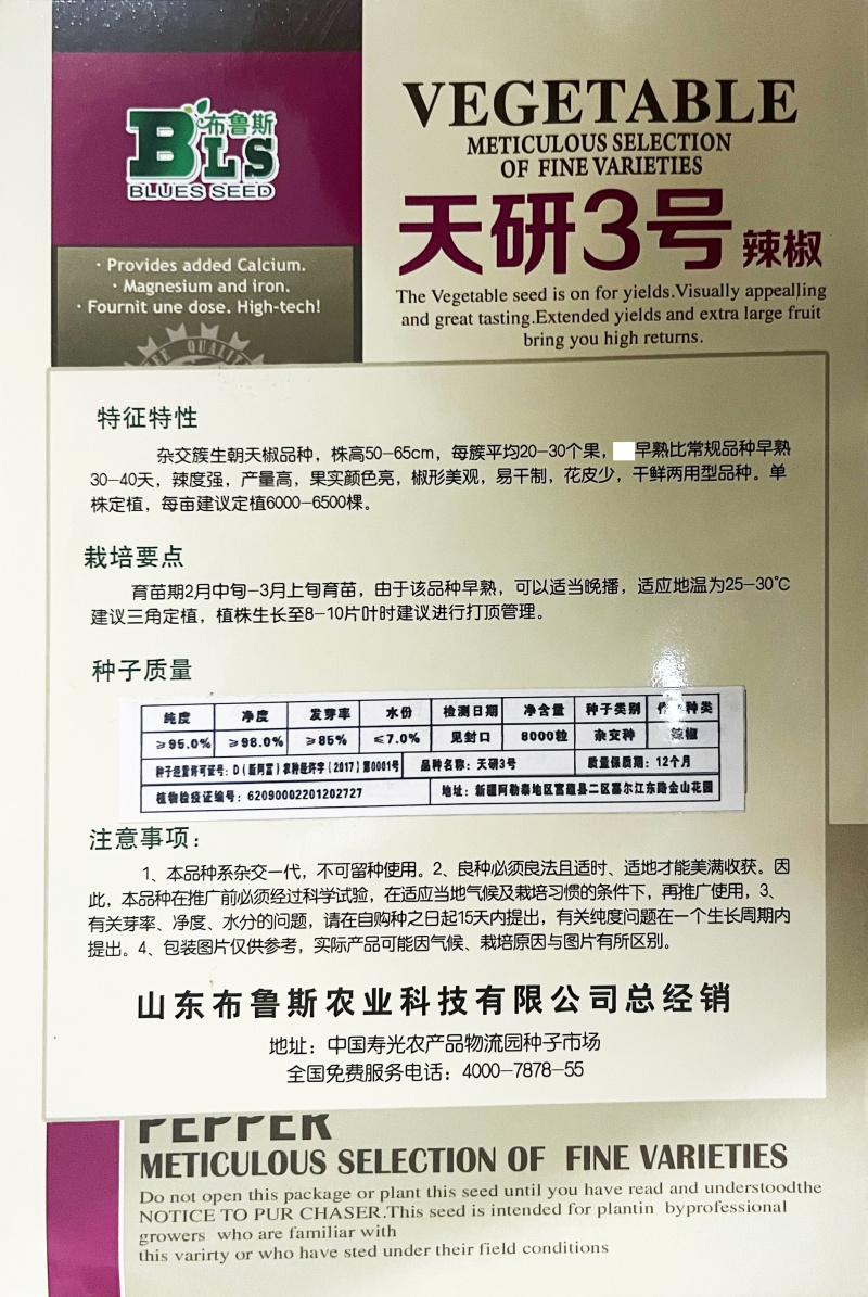 朝天椒辣椒种子天研三号红辣椒簇生高产抗病性强辣椒苗