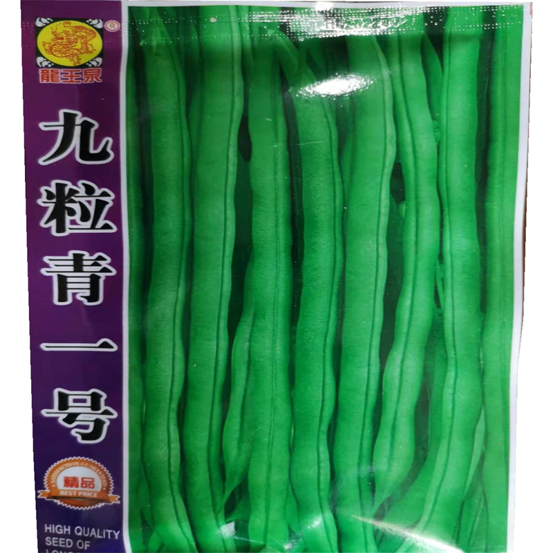 九粒青一号芸豆种子早熟高产荚长四季高端长棒形豆蔬菜种籽
