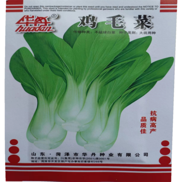 鸡毛菜种子四季上海青种子小青菜青梗菜种子莱油菜蔬菜孑