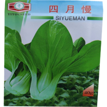 四月慢青菜种子上海青种子高产鸡毛菜种子青菜籽油菜耐寒抽苔