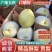 山西精品酥梨，大量新鲜供应，代发全国诚信代办，价格实惠