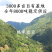 【新货5斤/袋】云南薄皮核桃批发基地直发价格优惠品质保证