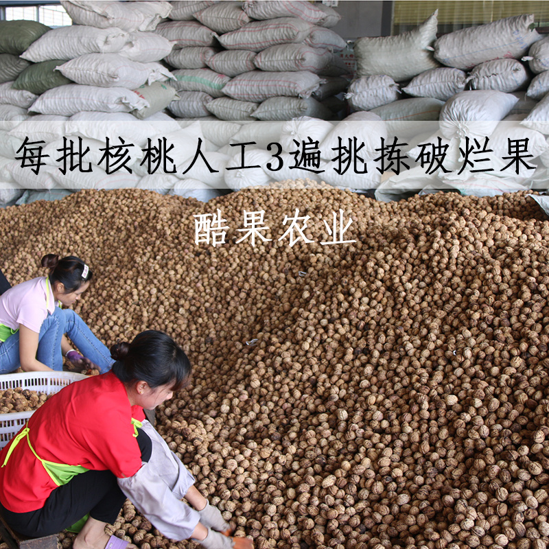 【新货5斤/袋】云南薄皮核桃批发基地直发价格优惠品质保证