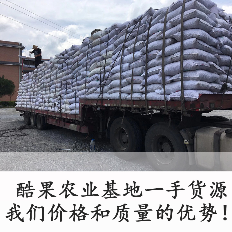 【新货5斤/袋】云南薄皮核桃批发基地直发价格优惠品质保证