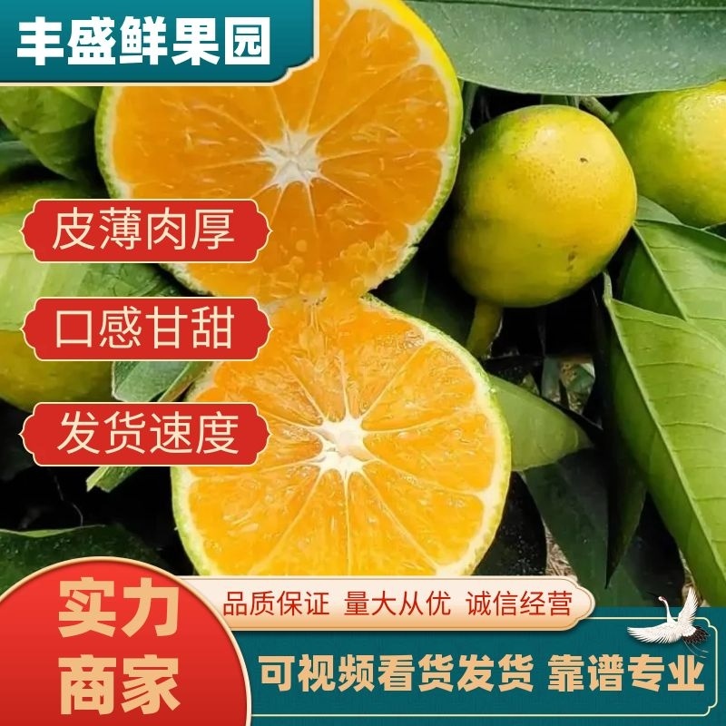 云南蜜橘柑橘柑桔橘子产地直供皮薄肉多多汁美味