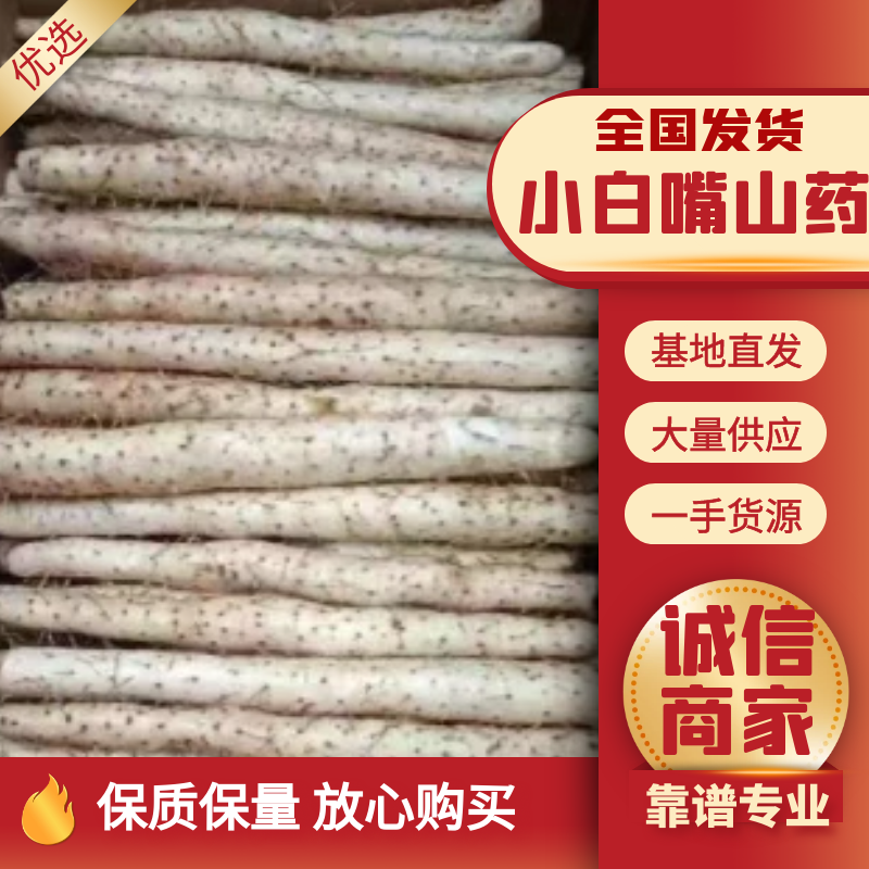 小白嘴山药散货，基地直发，价格美丽，可视频看货