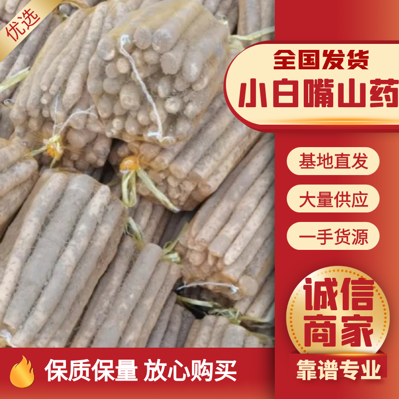 小白嘴山药网兜货，价格实惠，量大从优。欢迎下单