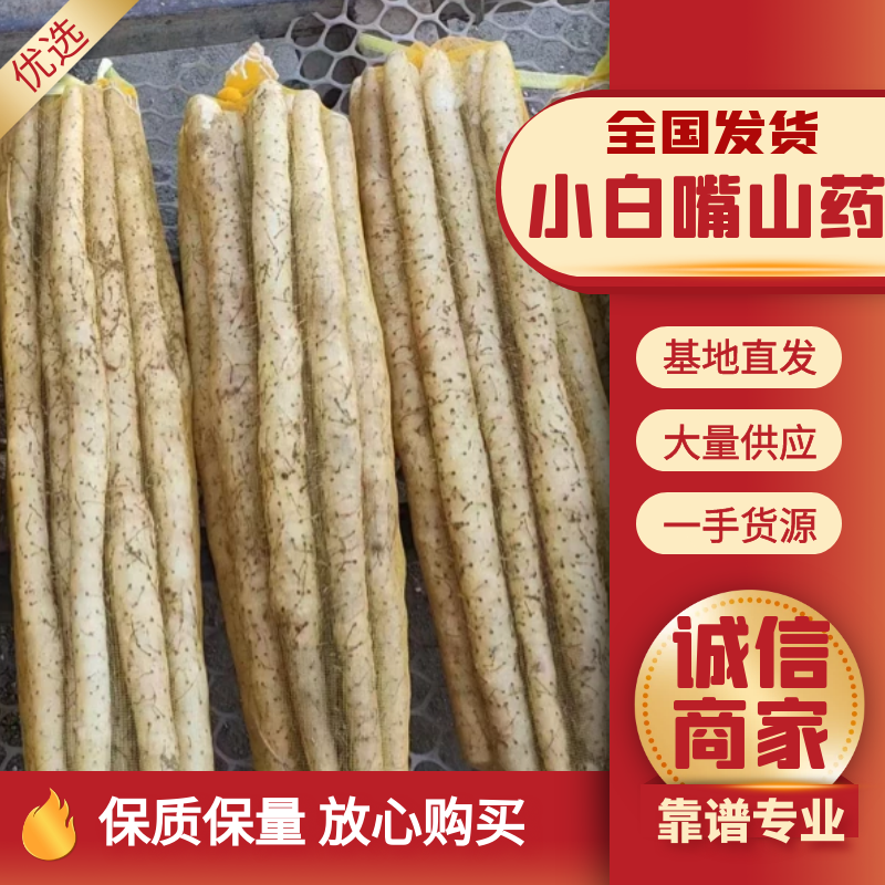 小白嘴白山药大量有货，价格实惠，欢迎下单合作。