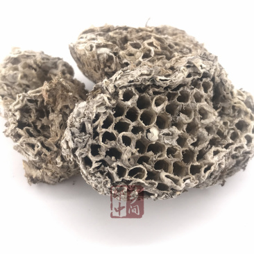 蜂房。马蜂窝