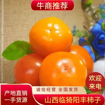 山西临猗阳丰柿子大量上市，货源充足，产地直供。品质有保证