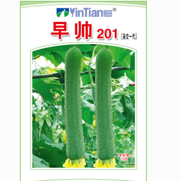 早帅201丝瓜种子微皱肉丝瓜籽早熟香专用丝瓜春季田园爬藤