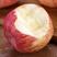 手选精品纸加膜红富士苹果纸袋膜带苹果口感脆甜。