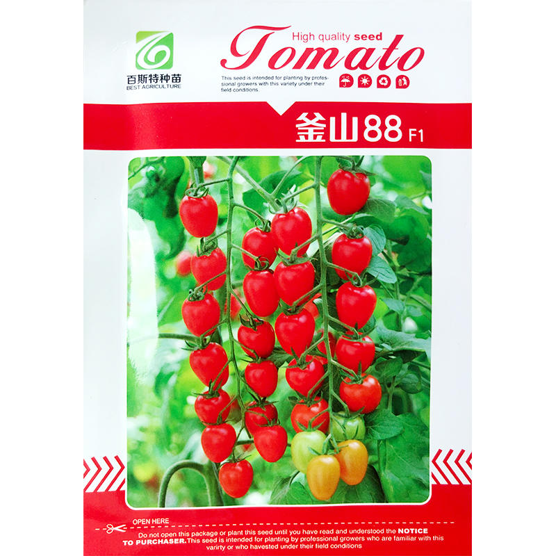 釜山88番茄种子樱桃小番茄苗子高产耐裂口感甜脆多汁