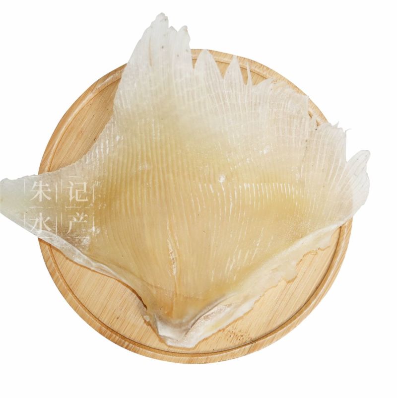 北海鱼翅鱼翅干货天星鱼翅海狗鱼翅浦鱼翅天九翅