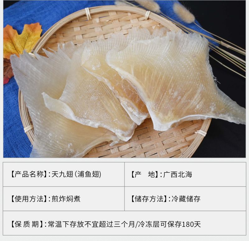 北海鱼翅鱼翅干货天星鱼翅海狗鱼翅浦鱼翅天九翅