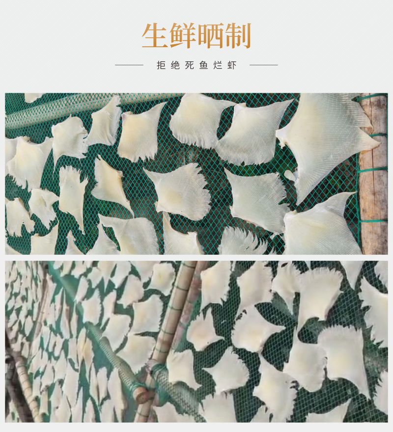 北海鱼翅鱼翅干货天星鱼翅海狗鱼翅浦鱼翅天九翅