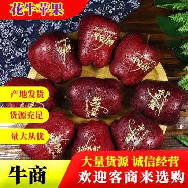 花牛苹果一件代发